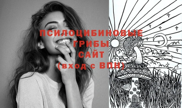 гашик Верхний Тагил