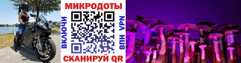 хочу наркоту  Череповец  Псилоцибиновые грибы ЛСД 