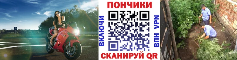 даркнет клад  Череповец  МАРИХУАНА Bruce Banner  закладка 